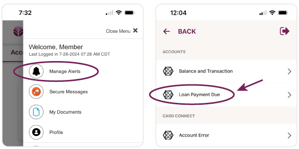 loan payment alert setup