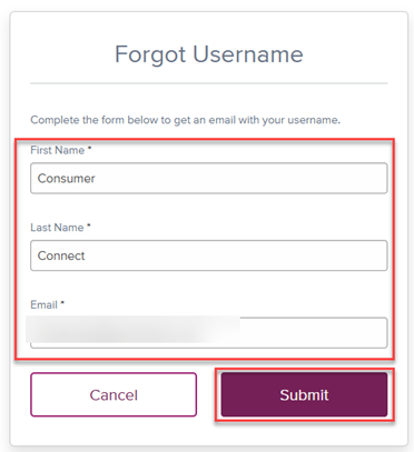 Reset loan portal account step 2 Image showing where to enter your name and email, as well as the submit button