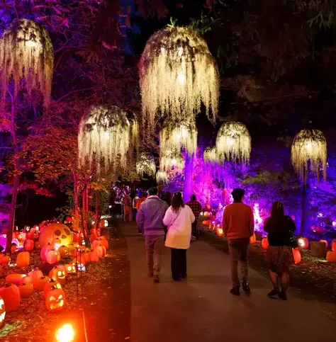 People walking through Harvest Nights