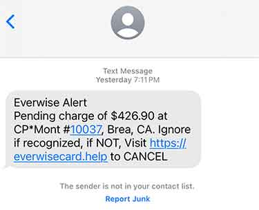 Scam Text Example