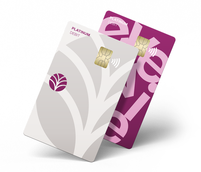 Everwise Debit Mastercard Everwise Debit Mastercard image