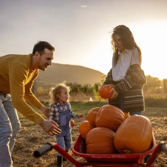 Family in pumpkin patch