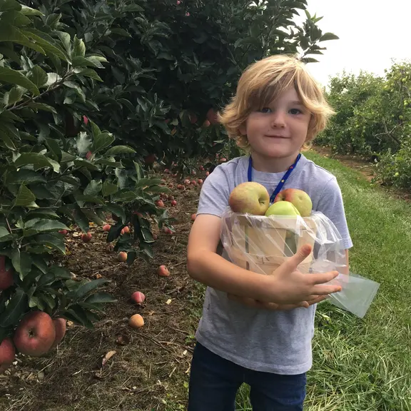 Young boy holding a basket of apples he picked. 