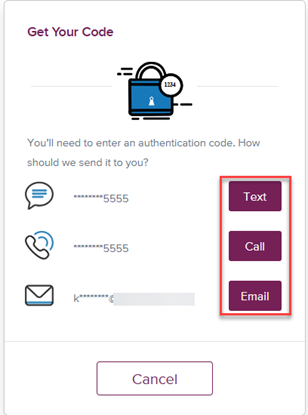 Reset loan portal account step 5 image Screenshot showing your authentication options
