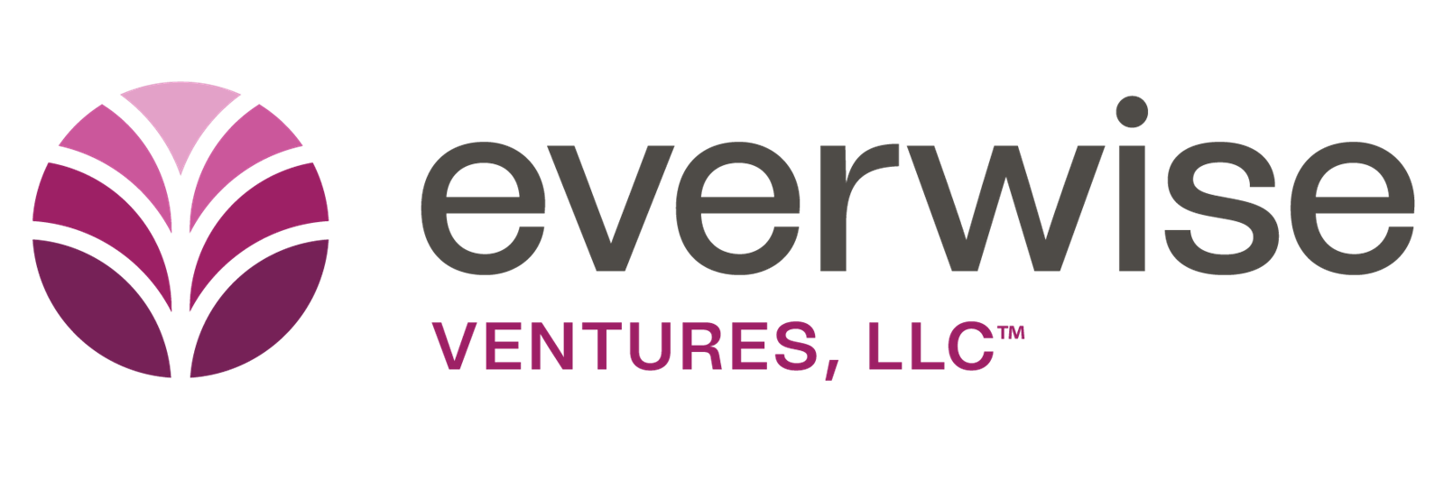 Everwise Ventures LLC logo