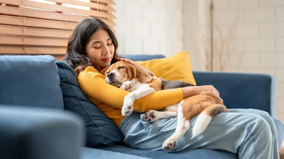 Stress less: building financial resilience strategies