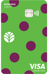 Everwise Visa Signature Rewards credit card image