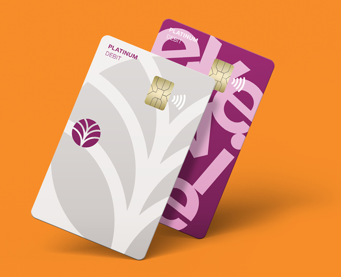 Everwise debit cards image